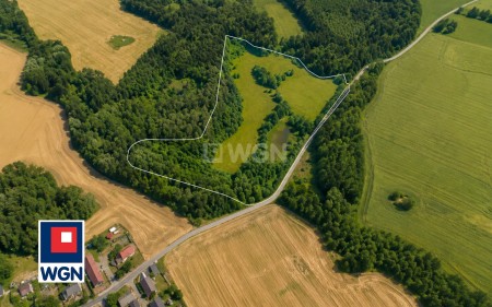 Działka ponad 5 ha z naturalnym stawem - Bornity