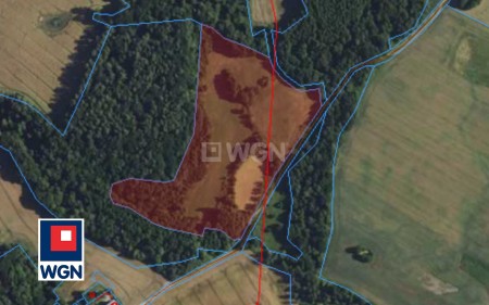 Działka ponad 5 ha z naturalnym stawem - Bornity